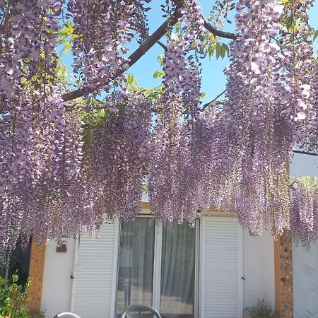 Perais Casa Dos Gansosヴィラ エクステリア 写真