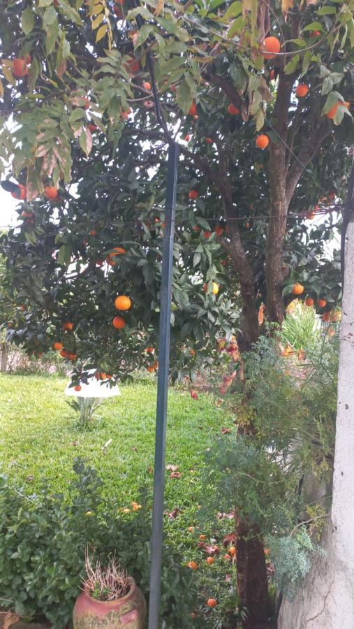 Perais Casa Dos Gansosヴィラ エクステリア 写真