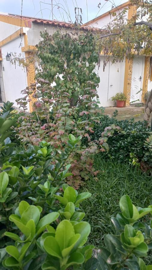 Perais Casa Dos Gansosヴィラ エクステリア 写真